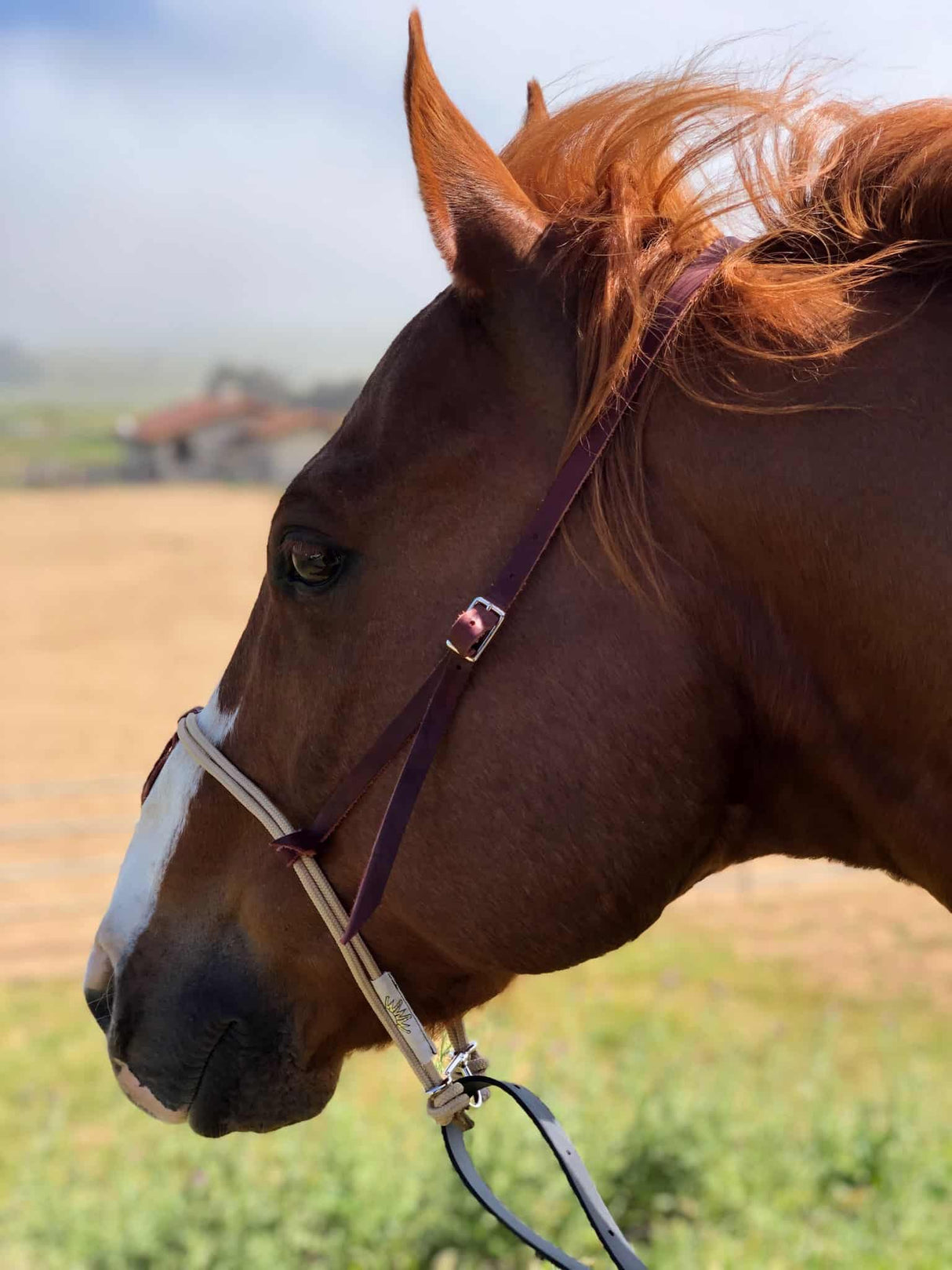 Best Ever Headset Tie Down Strap