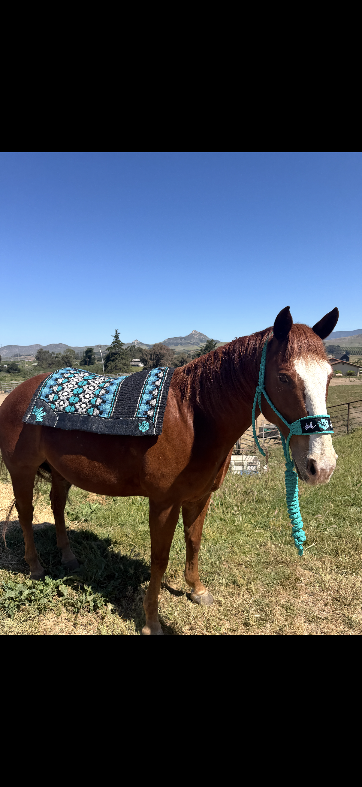 Hawaii Benefit Giveaway