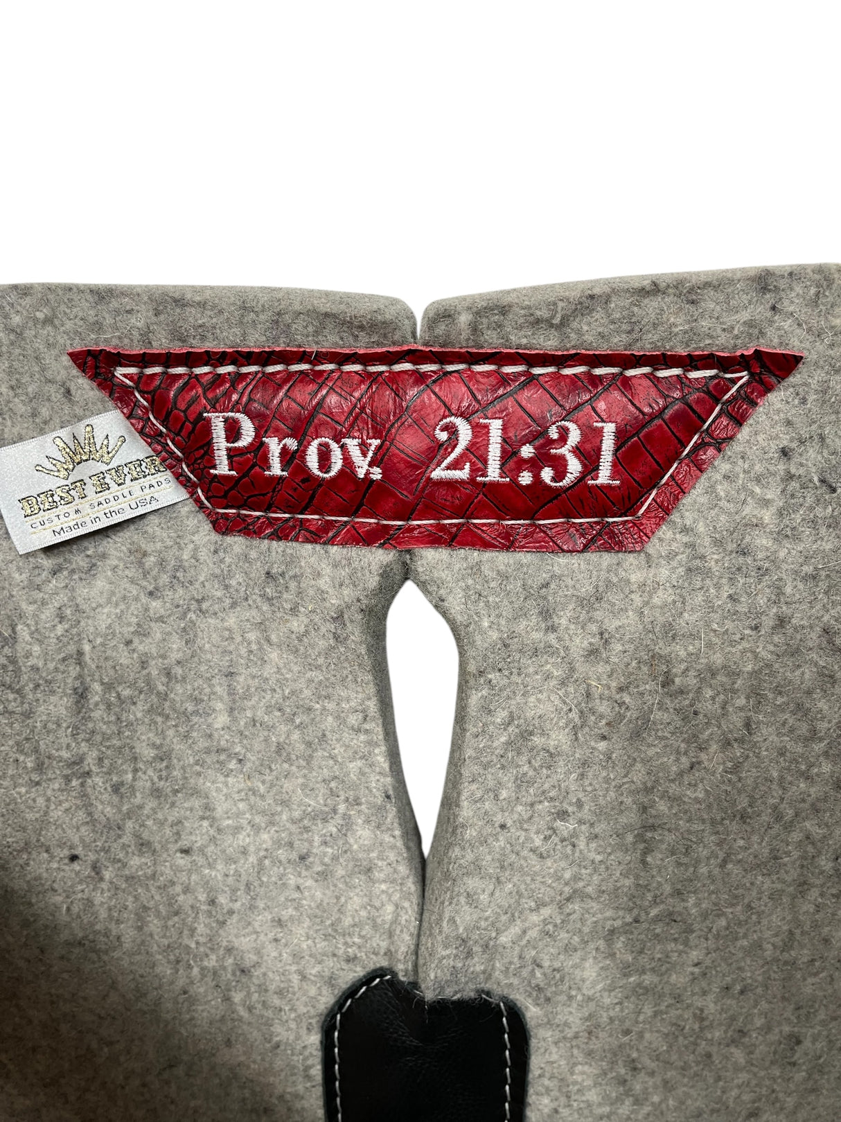 Gray Kush Saddle Pad with Red Crocodile - Crown in White Embroidery with Prov. 21:31 on Wither Strap