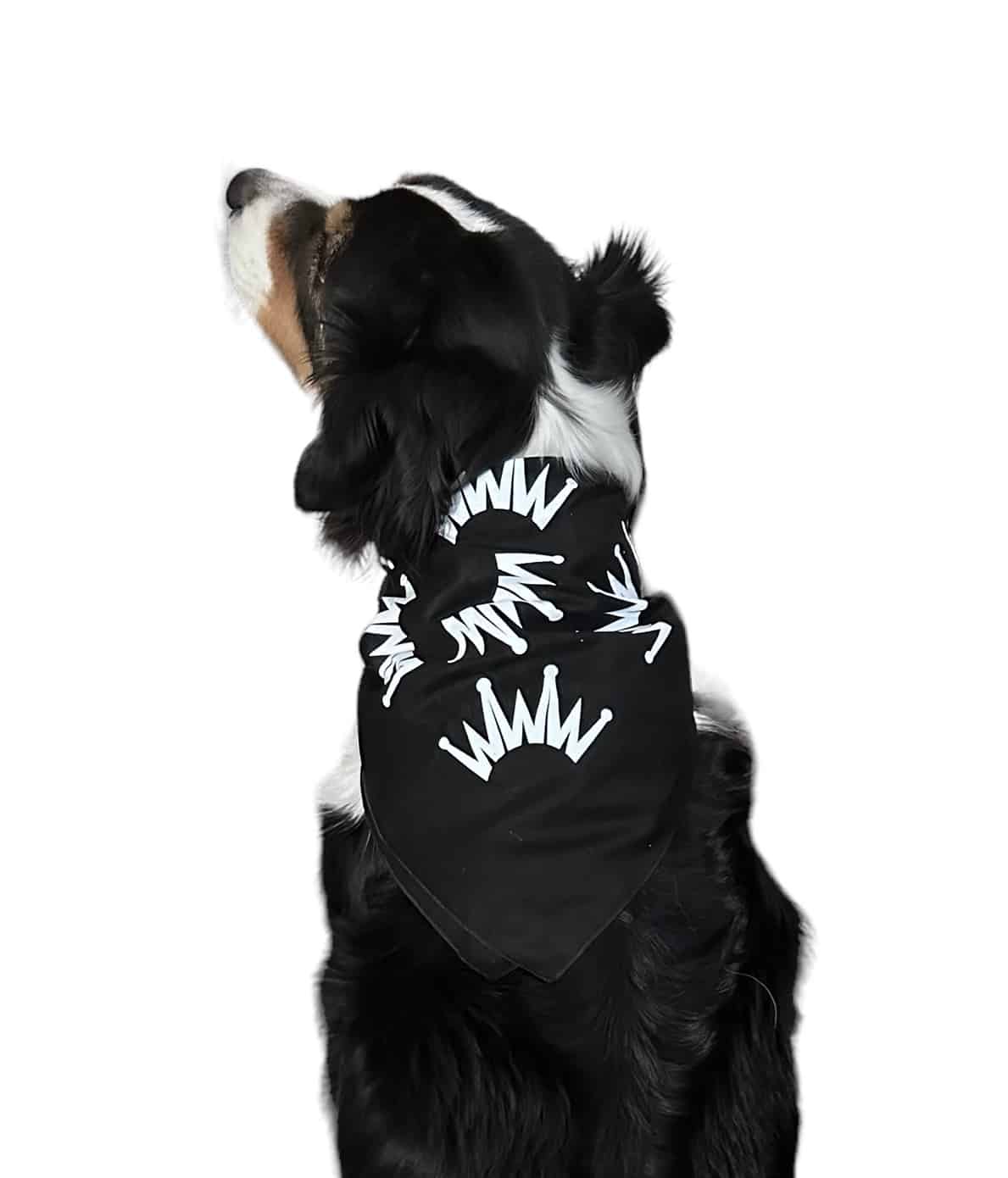 Dog Crown Bandana