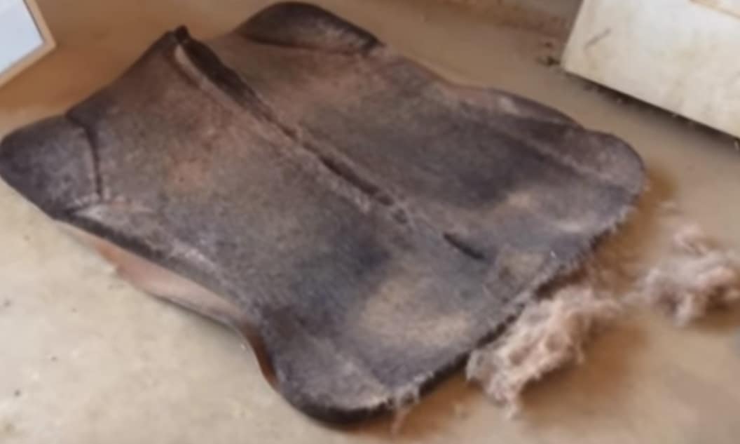 SleekEZ® Saddle Pad Brush & Horse Grooming Tool