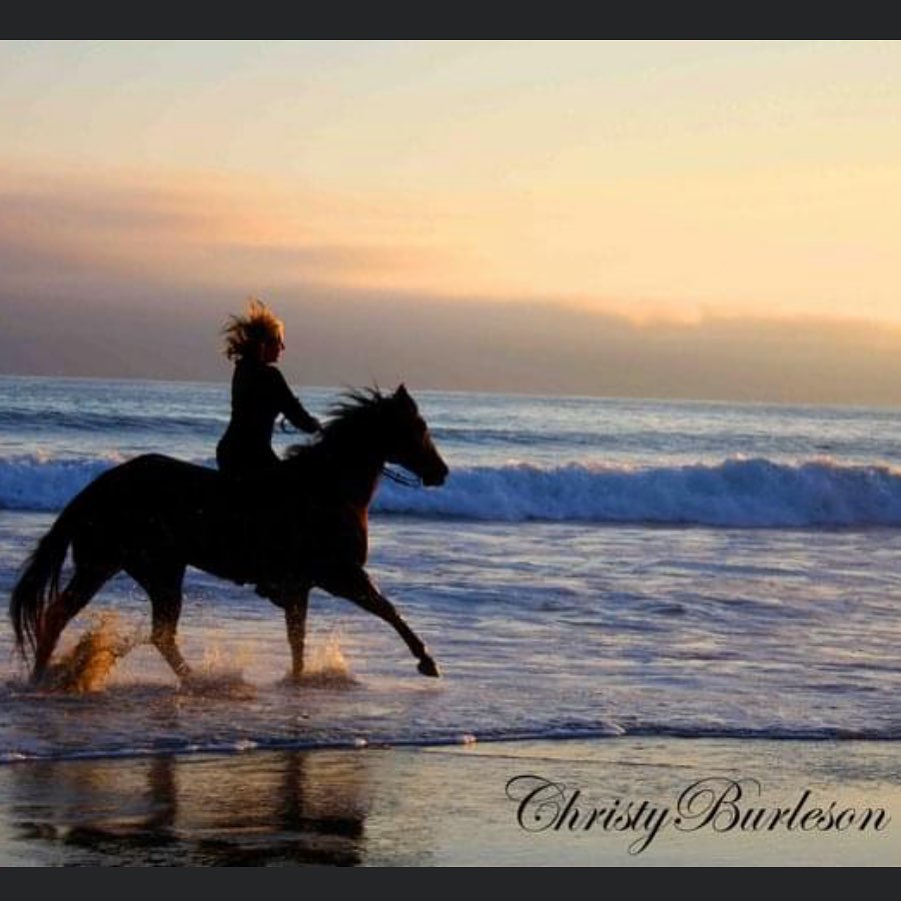That’s not “just a horse”