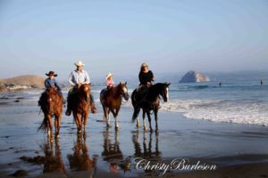 Best Ever Ranch: Paradise on the Coast
