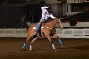 Different Saddle Pads For Barrel Racing