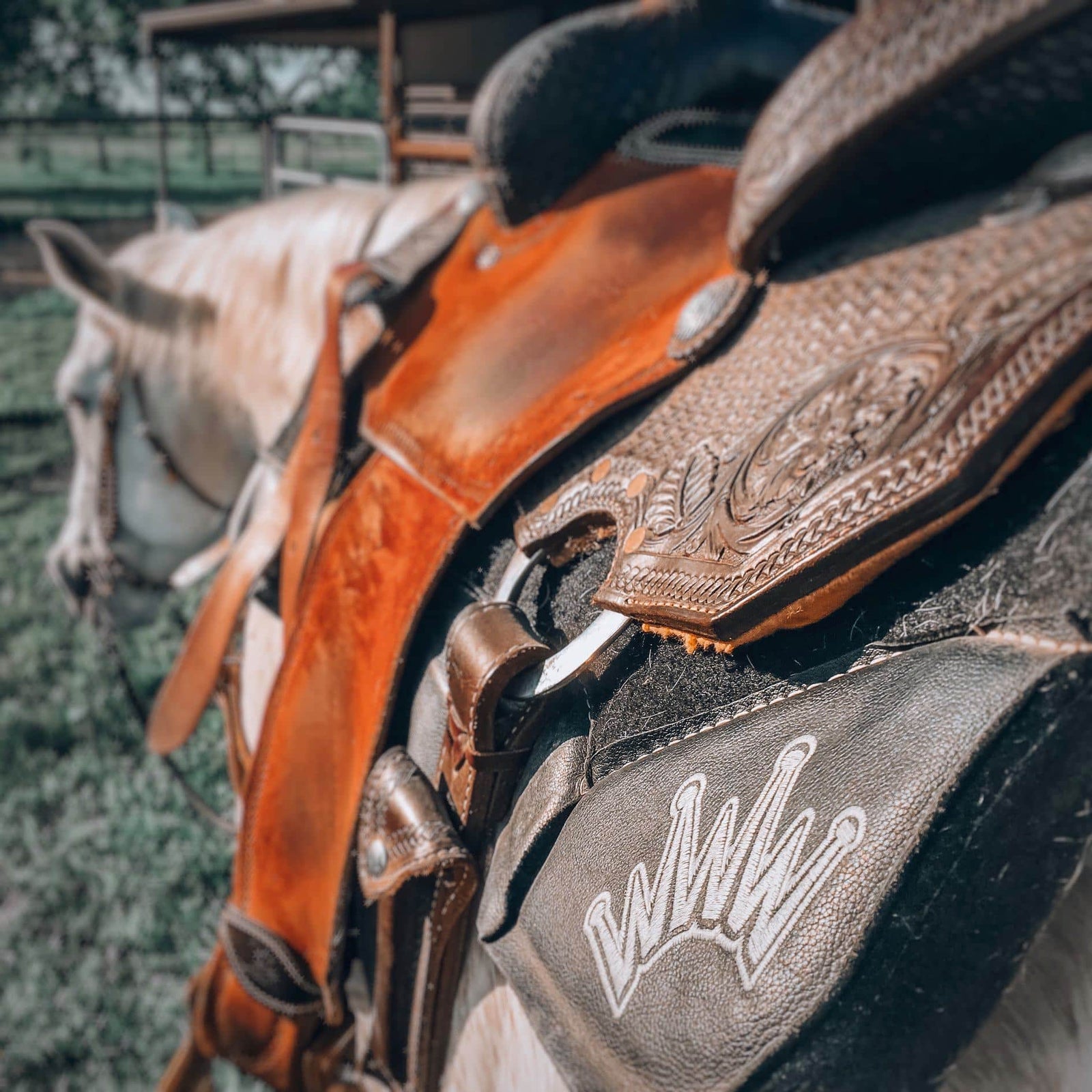 Finding the Ideal Match