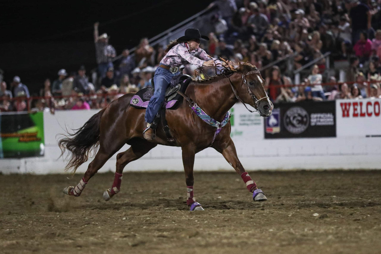 Purchasing Questions