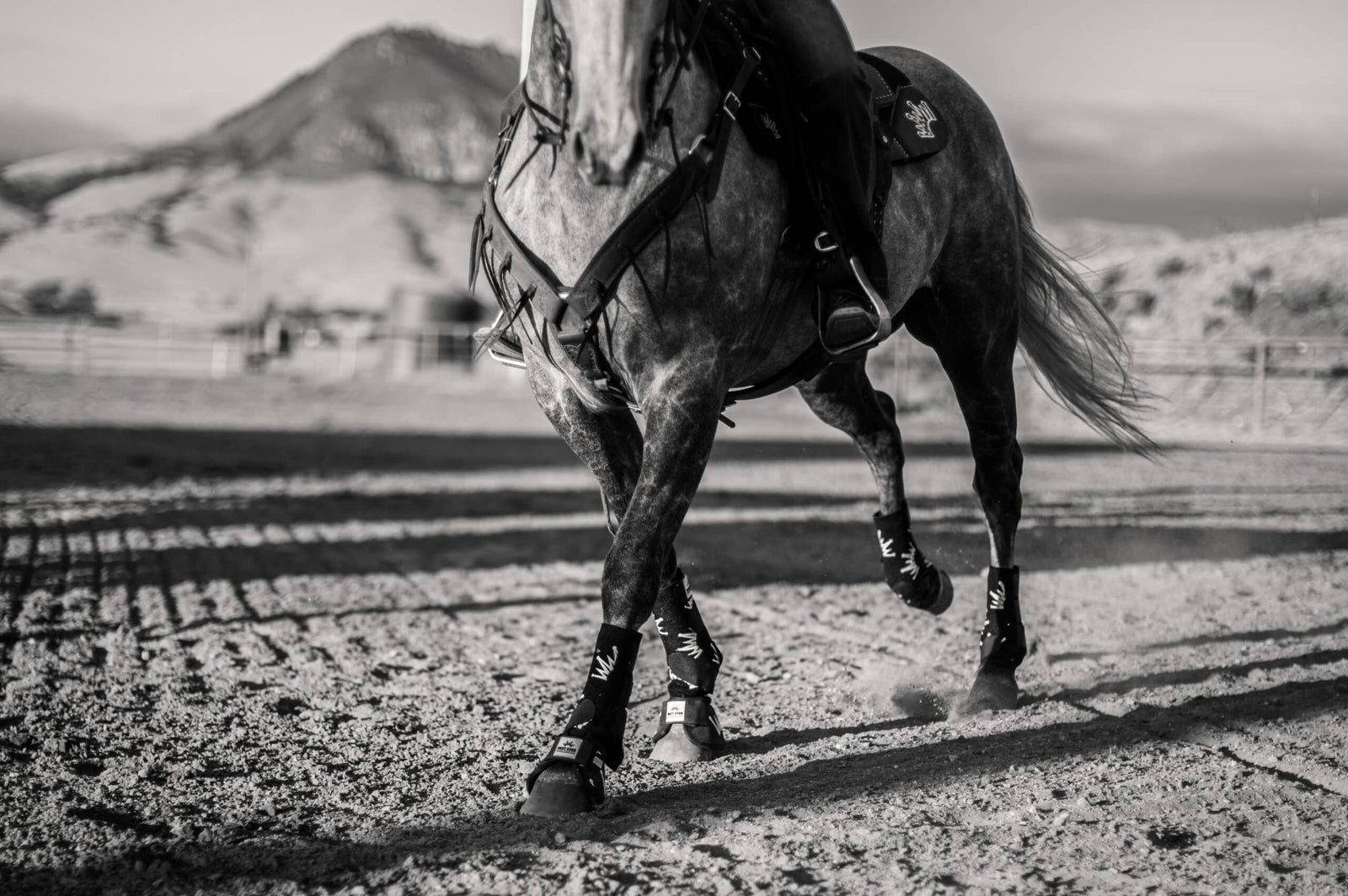 Pad Cleaning Information