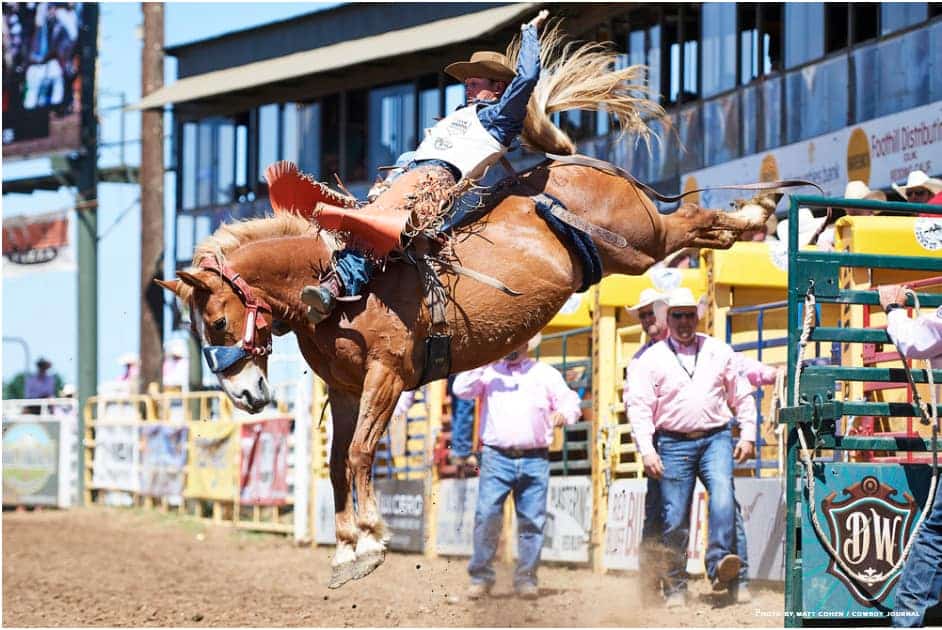 Cowboy Journal: Clayton Biglow – Another 93