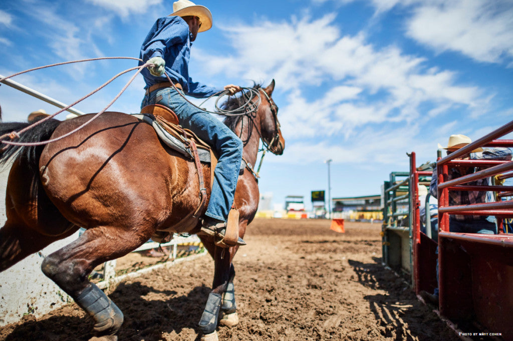 Saddle Pads 101