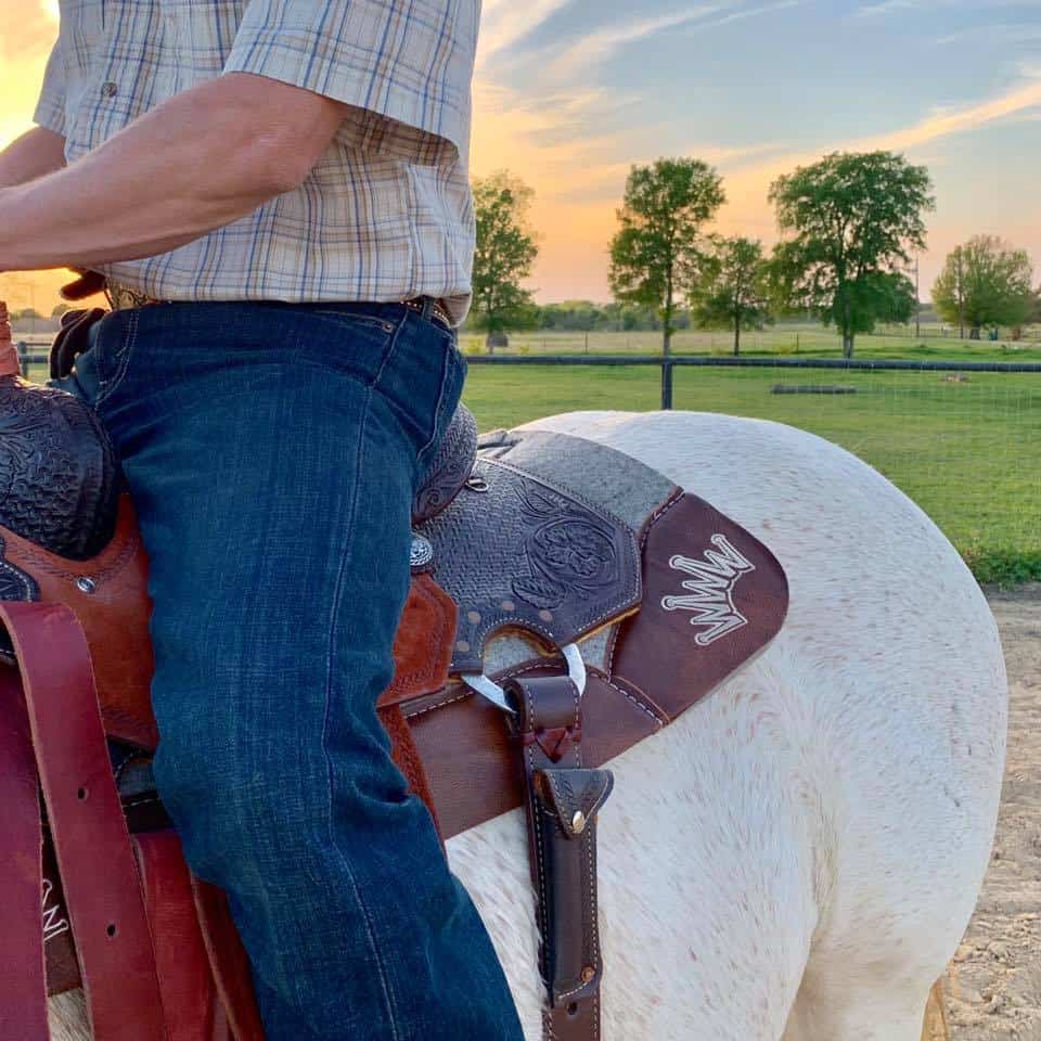 The Right Interface Between Back and Saddle