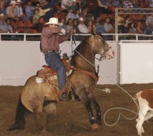 Fitness Tips to Get Your Horse in Shape