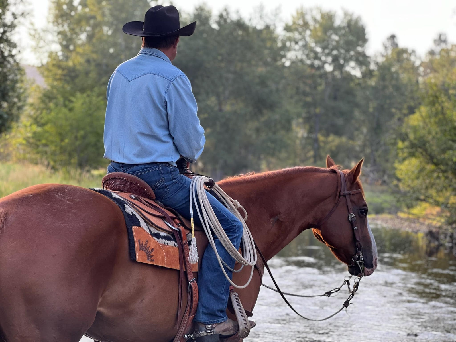 Pad Fitting Frequently Asked Questions