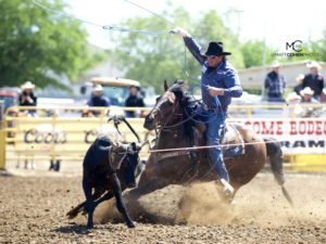 Things to Have on the Rodeo Road