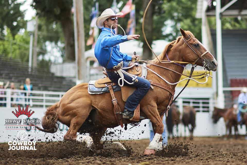 Choosing The Best Saddle Pad For Your Horse