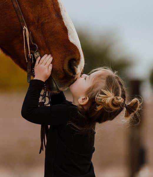 One Horse Will Change Your Life