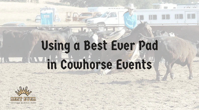 Using a Best Ever Pad in Cowhorse Events