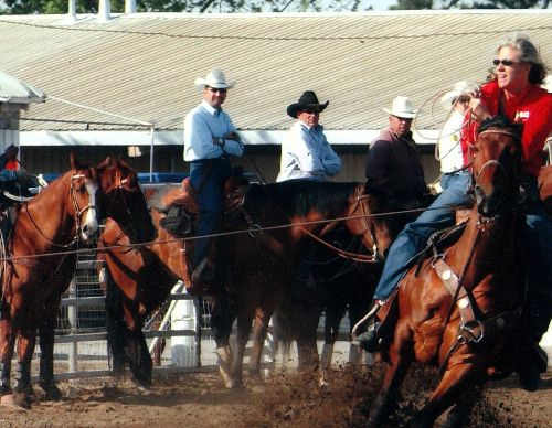 Tammy West-White on Saddle Pads