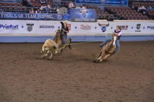 Tammy West White: Best Ever Pads Roper Review
