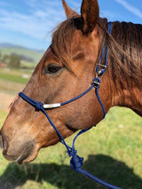 Best Ever Hook Rope Halter w/ 10' Lead