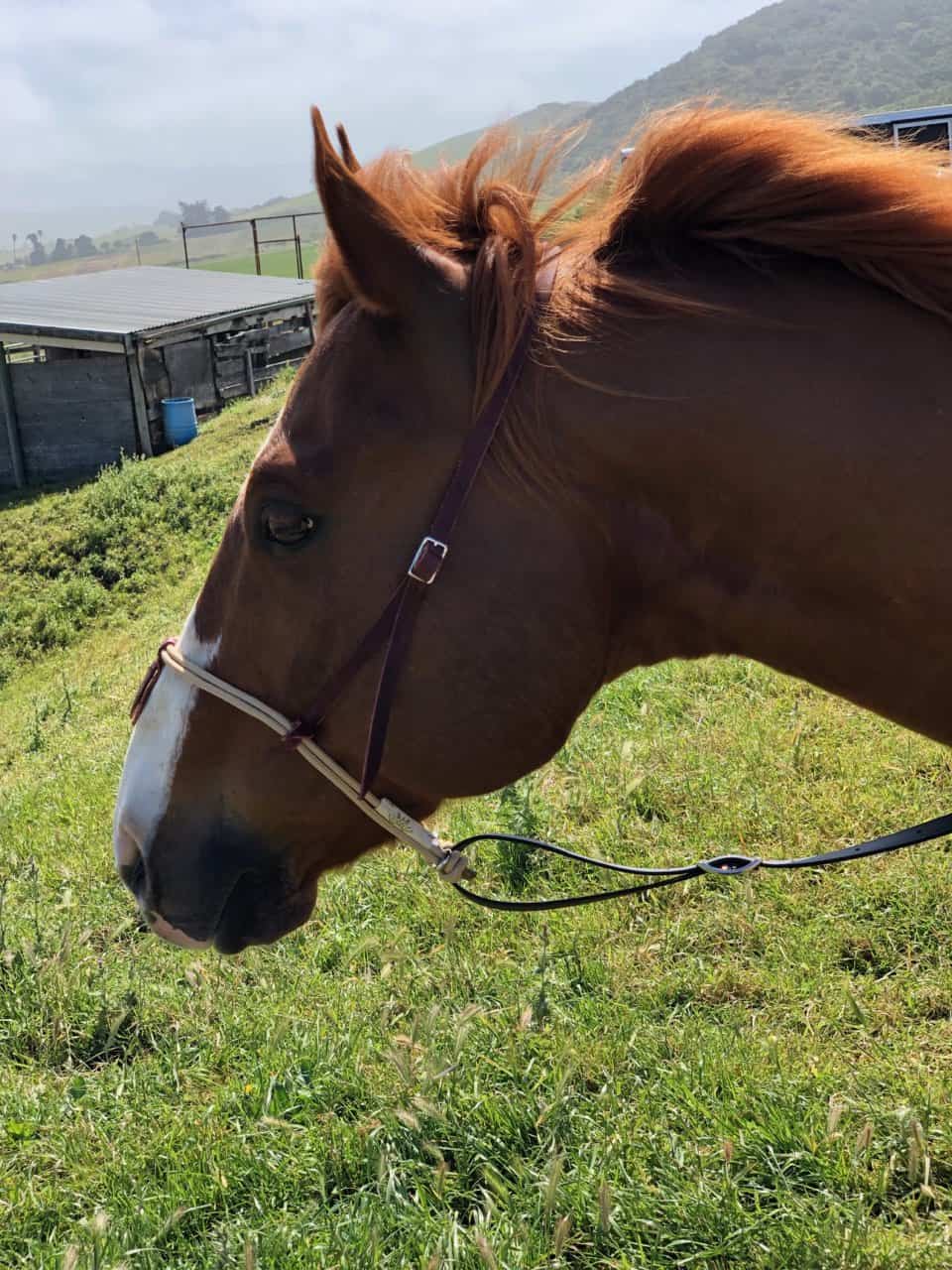 Best Ever Headset Tie Down Strap