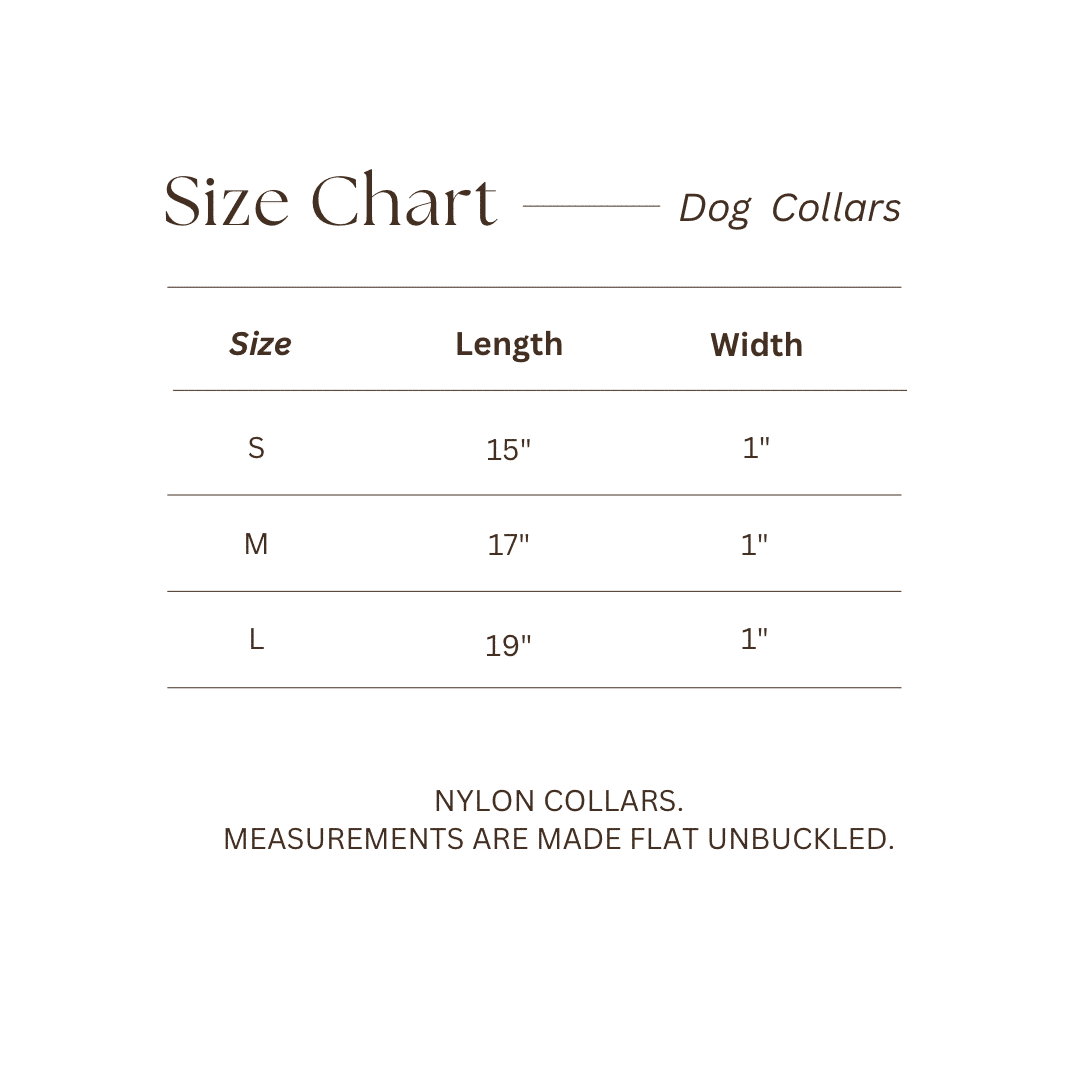 Best Ever Dog Collar