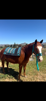 Hawaii Benefit Giveaway