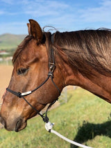 Best Ever Hook Rope Halter w/ 10' Lead