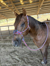 Best Ever Mule Tape Halter w/ 8.5' Lead