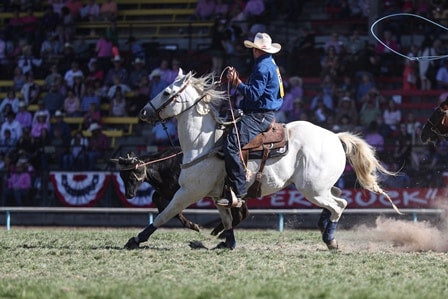 Nelson Wyatt NFR Saddle Pad