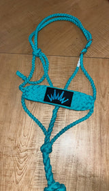 Get the Look! Leopard