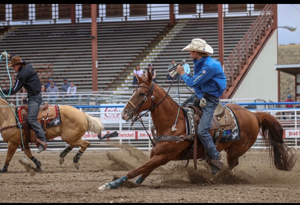 Tyler Tryan Saddle Pad