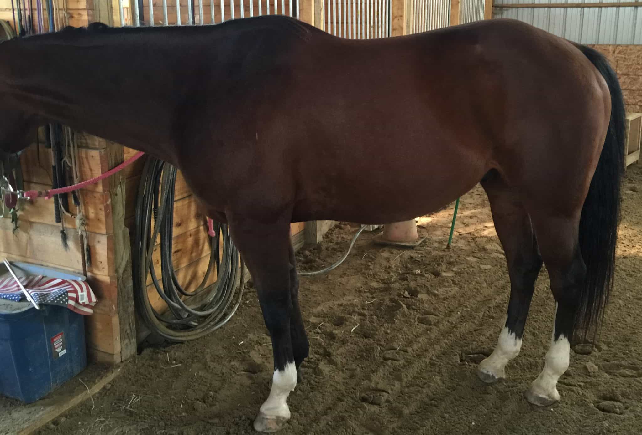 Western Saddle Pad Fitting Tips