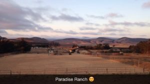 paradise ranch