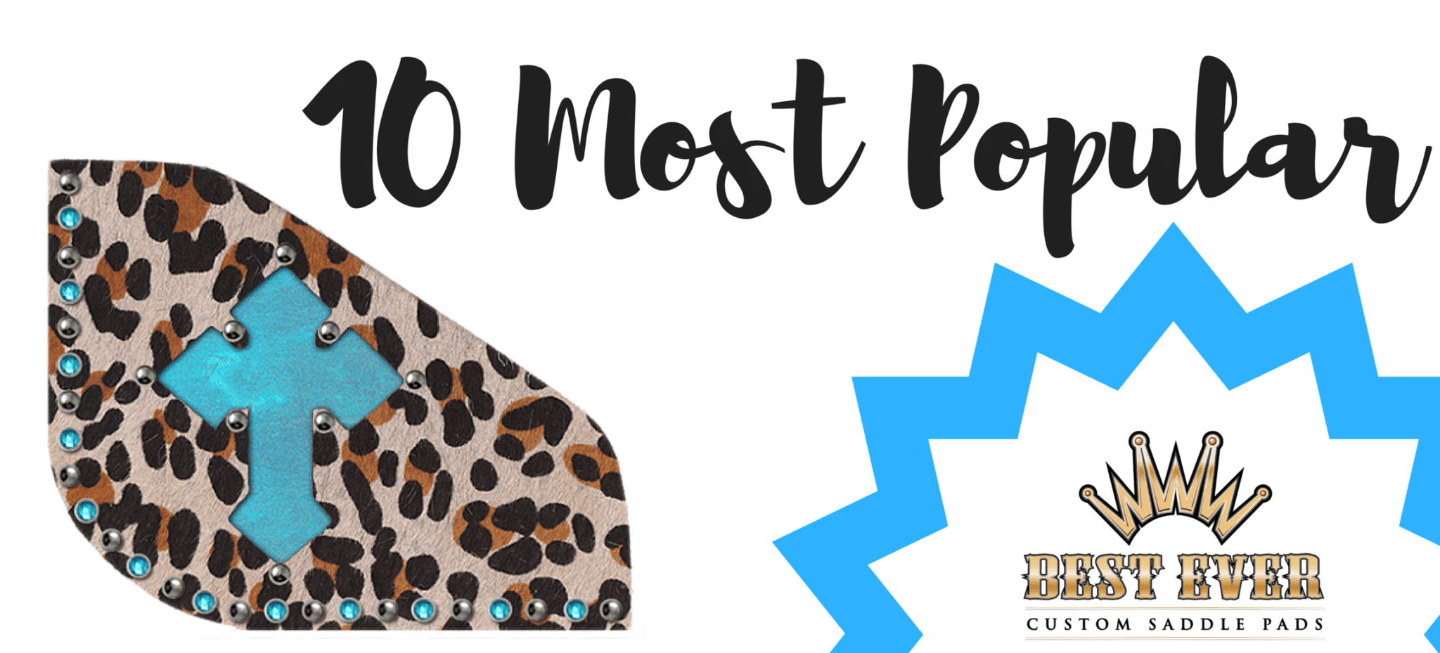10 Most Popular