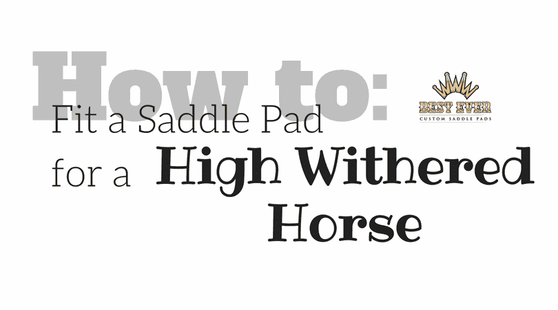 Best Ever Pads how to fit a saddle pad for a high withered horse