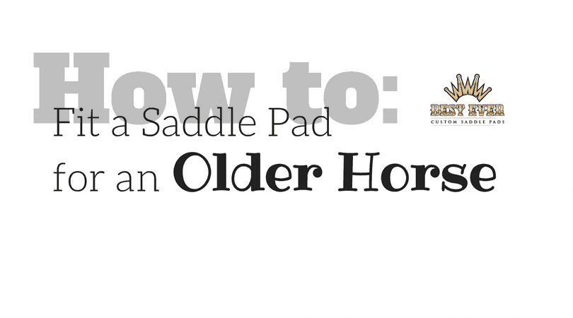 Best Ever Pads how to fit a saddle pad for an older horse