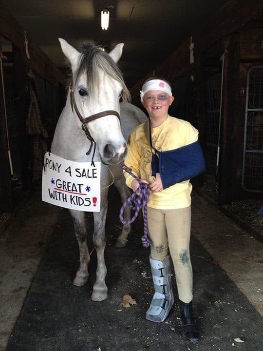 Halloween costume for horses and people