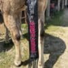 Best Ever Velcro Tailbags - Image 16