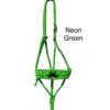 Best Ever Mule Tape Halter w/ 8.5' Lead - Image 14
