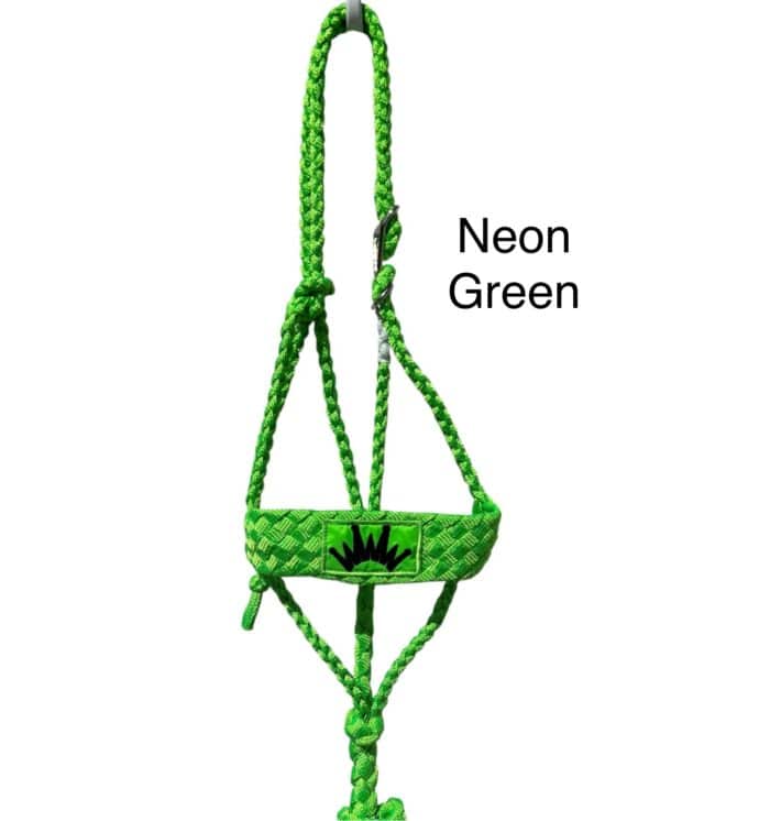 Best Ever Mule Tape Halter w/ 8.5' Lead - Image 14
