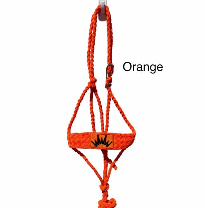 Best Ever Mule Tape Halter w/ 8.5' Lead - Image 16