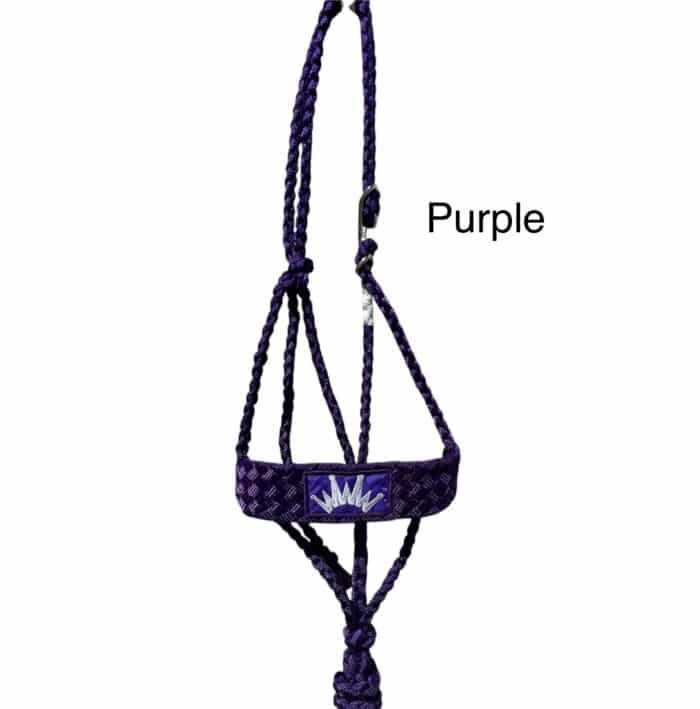Best Ever Mule Tape Halter w/ 8.5' Lead - Image 9