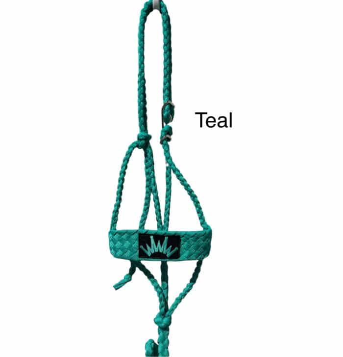 Best Ever Mule Tape Halter w/ 8.5' Lead - Image 15