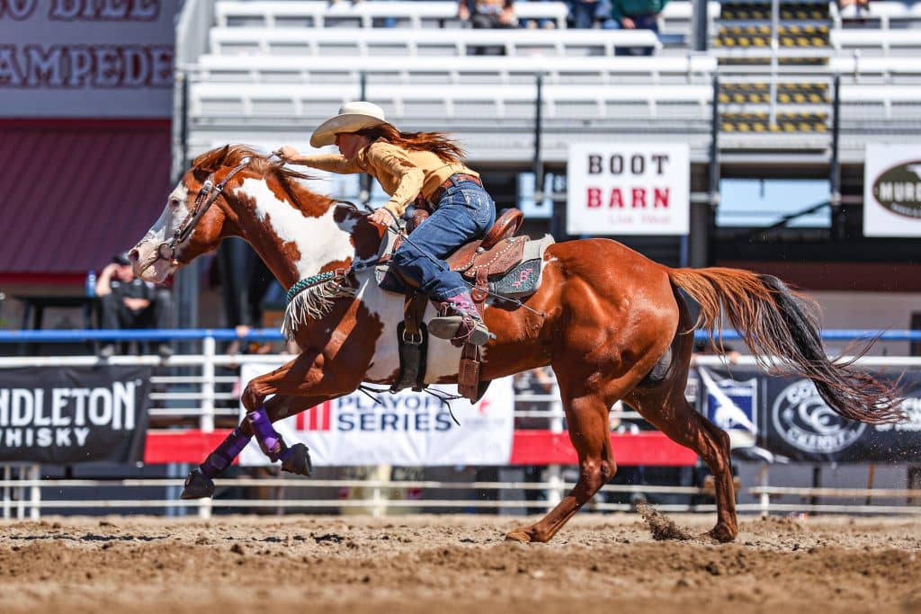 Professional Barrel Racer